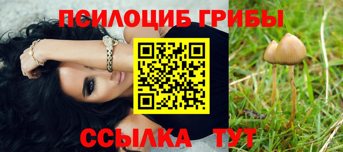 Псилоцибиновые грибы Psilocybine cubensis  Псилоцибиновые грибы мухоморы  Крымск  наркошоп  Вход с VPN 