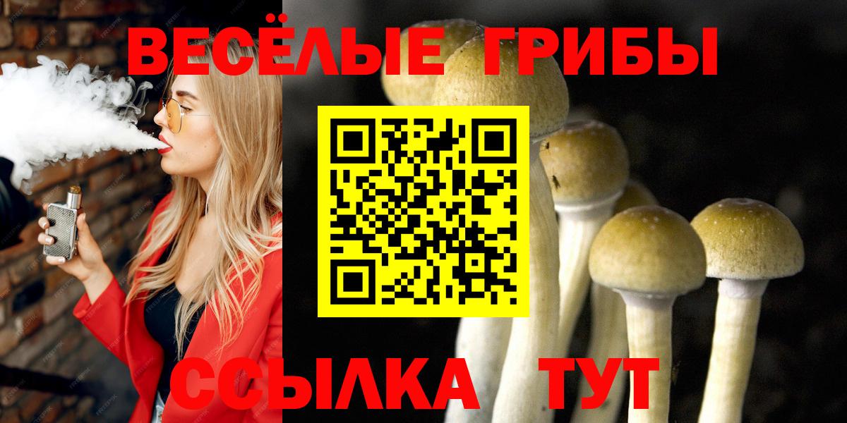Галлюциногенные грибы мухоморы Крымск